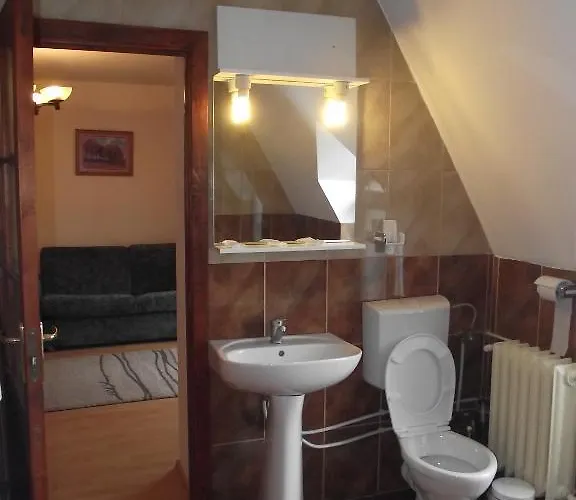 Pensiune Carmelita 3*